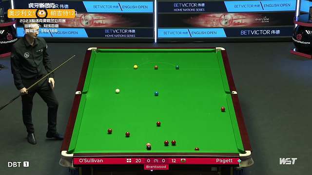 西足协主席 西足协主席