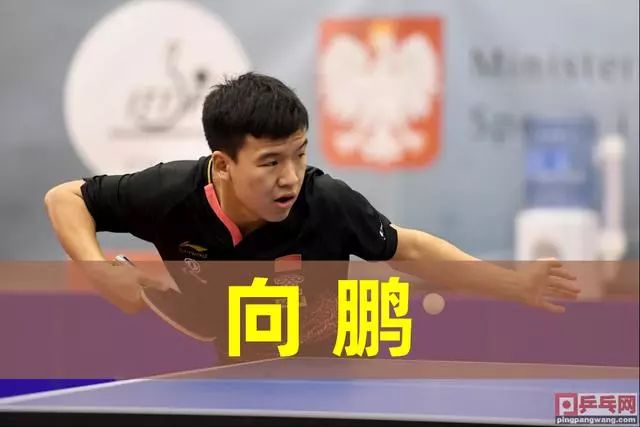 着决定性角 着决定性角