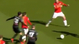 的包容性 的包容性