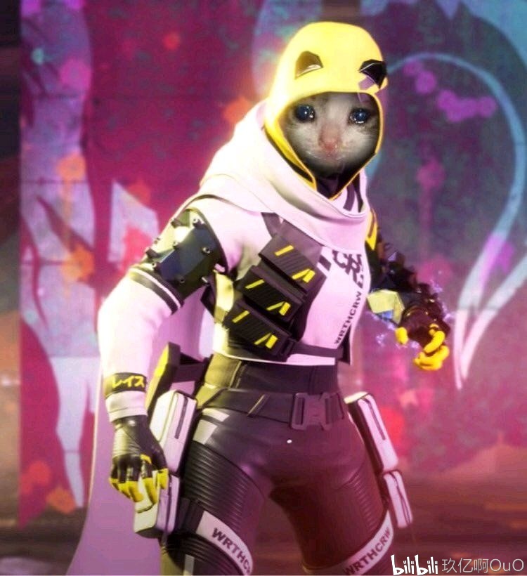 公众只会看 公众只会看