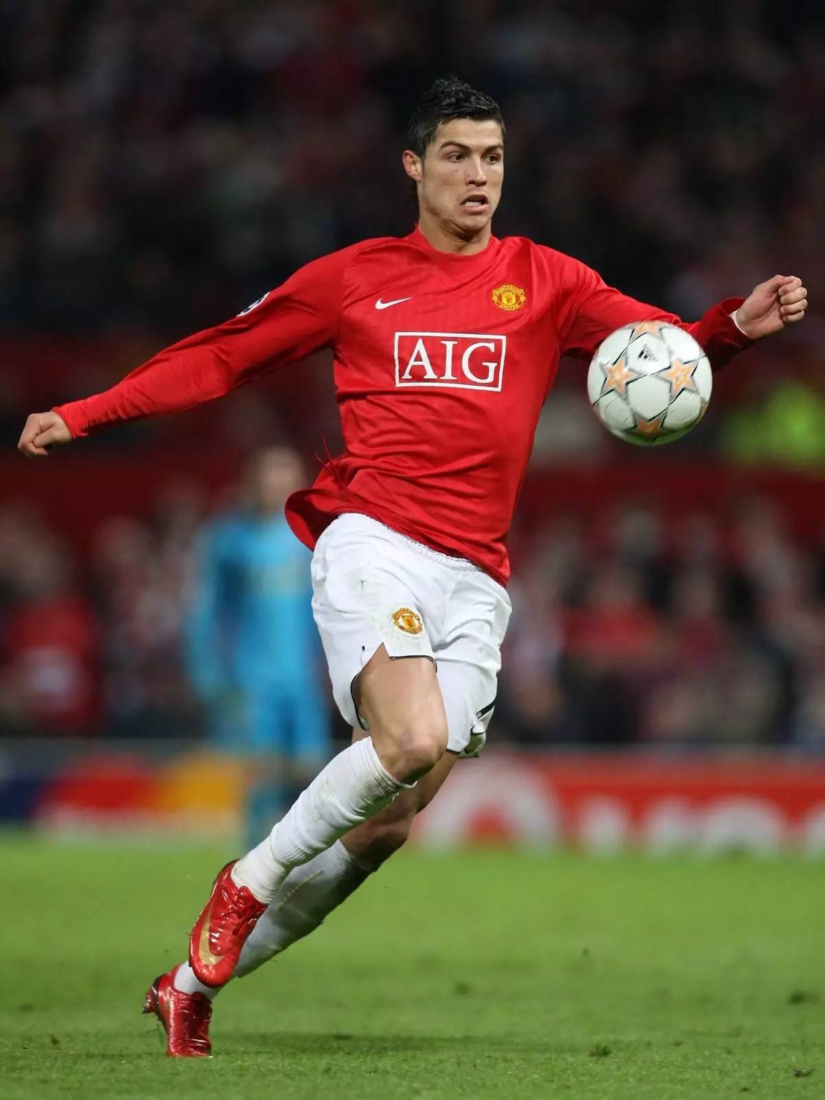 池的支线 池的支线